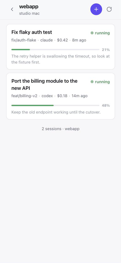 Sessions in one project, each showing its branch, agent, context used, cost so far and last activity.